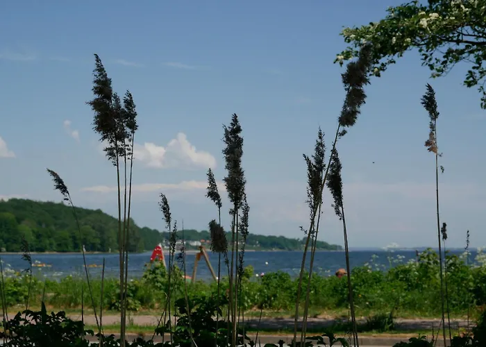 Smile, Wunderschoene Direkt Am Appartement